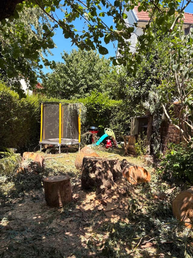 Jardin après abattage d'un arbre avec billons de bois tronçonnés prêts à être évacués