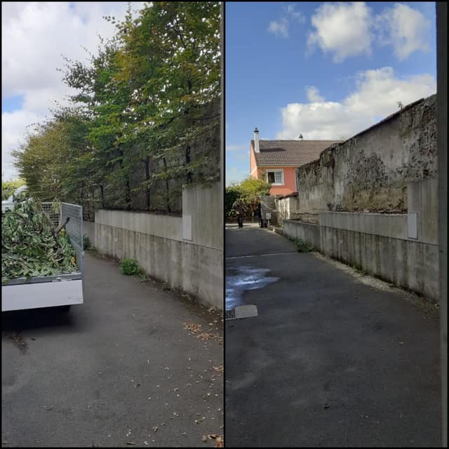 Élagage de branches débordant sur une ruelle et évacuation des déchets verts en benne