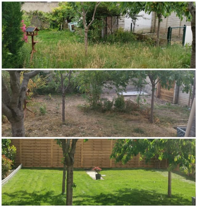 Remise en état d'un jardin en friche : débroussaillage, préparation du sol puis pelouse tondue