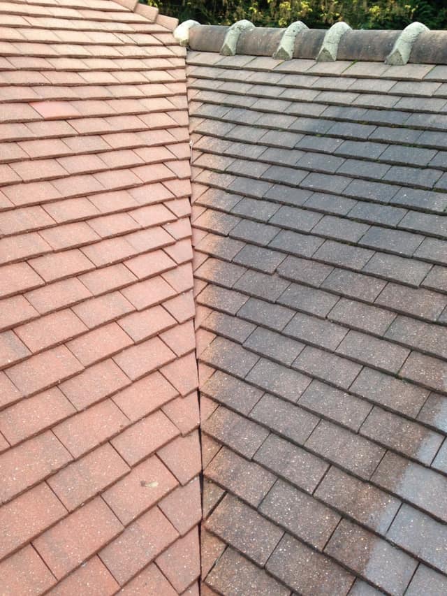Démoussage de toiture : tuiles nettoyées à gauche et tuiles couvertes de mousse à droite