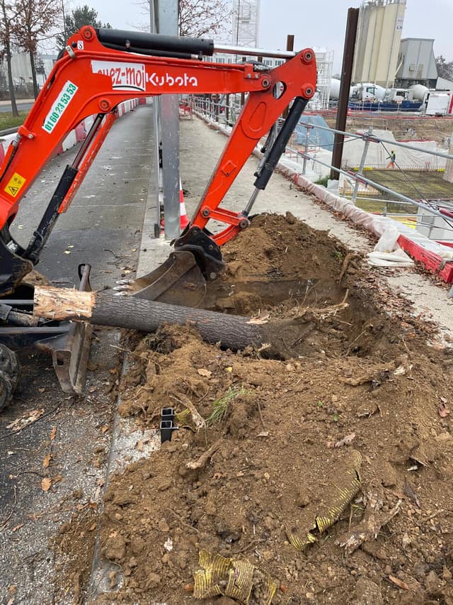 Godet de mini-pelle extrayant une souche d'arbre avec ses racines