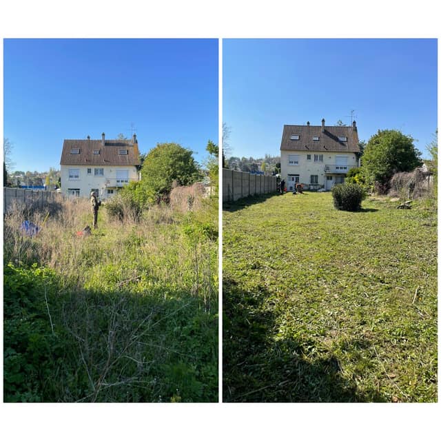 Débroussaillage d'un terrain en friche derrière une maison, avant et après intervention