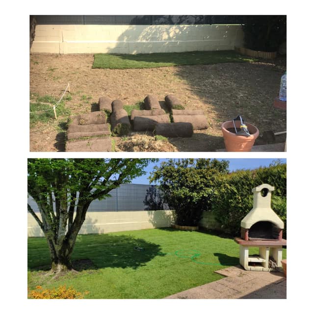 Pose de gazon en rouleau dans un jardin, du sol préparé à la pelouse verte